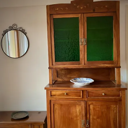 招待所 Zenit 西尼加利亚